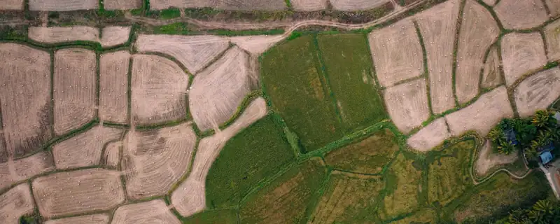 Aerial view of green and harvested fields in Ottapalam, Kerala, India
