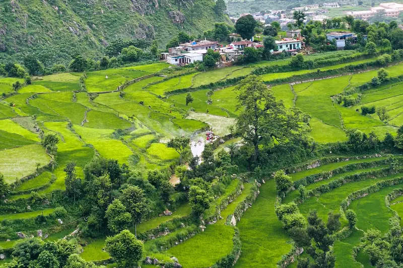 Green terraced fields and a village in Uttarakhand, India
